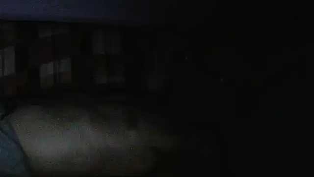 cumloverboyxx69 webcam