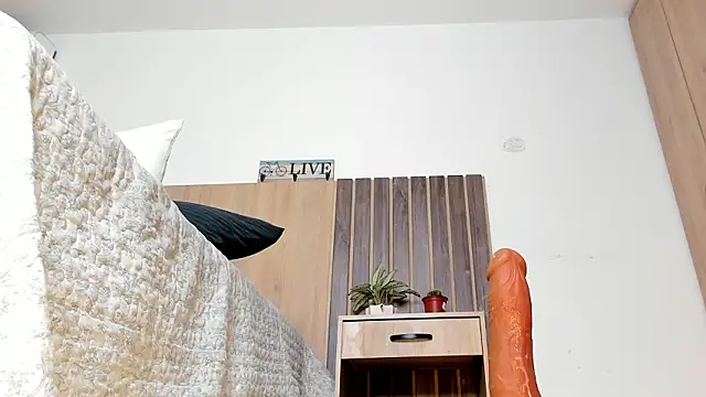 rebeca_cortez_ webcam