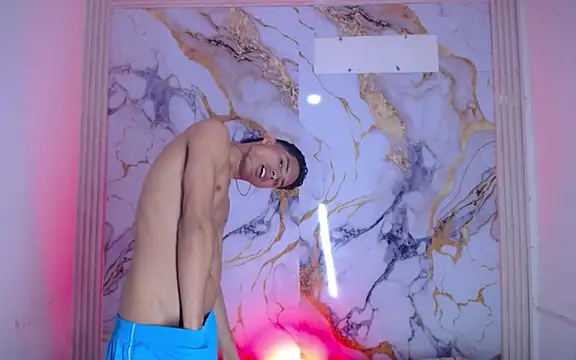 Damian_and_theo webcam