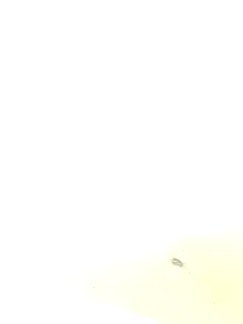 Webcam Model (joya_bhabi)  is live.Free join now!