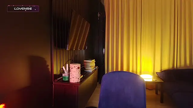 fifth_element webcam