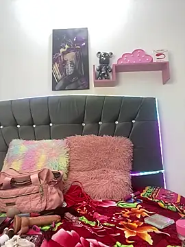 Webcam Model (SOL_EF) is live