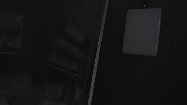 lilian_vergara webcam