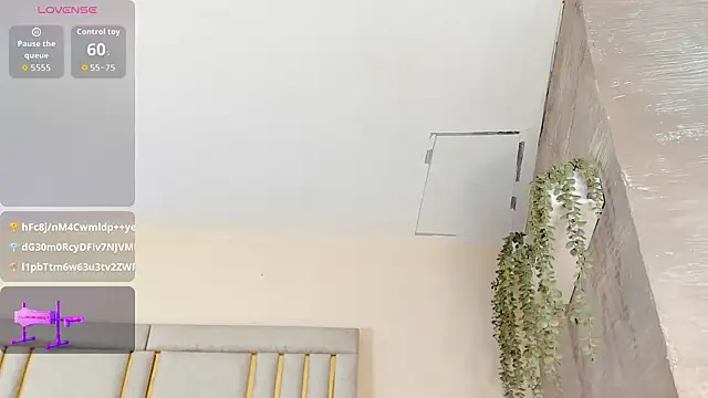 Liincostelloo webcam