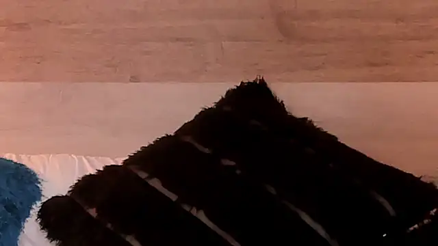 IrisDeLaVega_ webcam