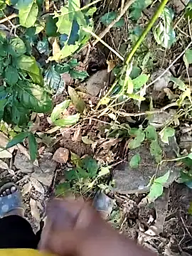 desi_alpha_boy webcam