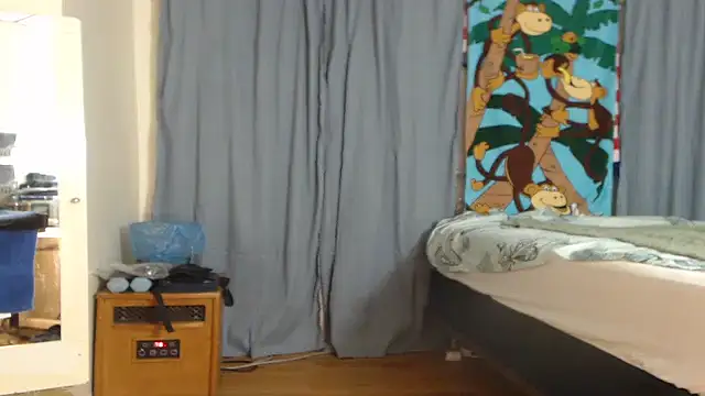 ANALTRAINING2 webcam