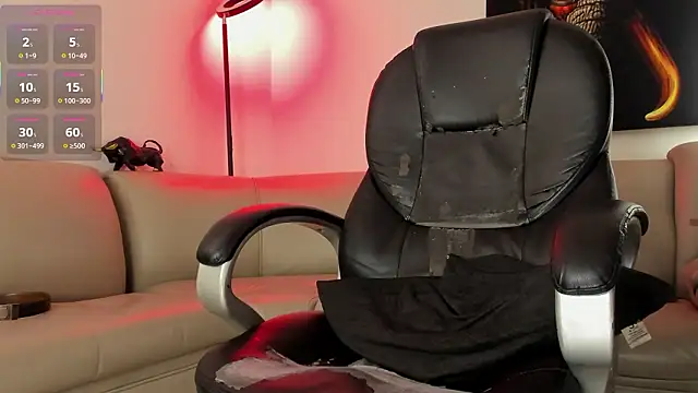 Nicolas_Fellener webcam