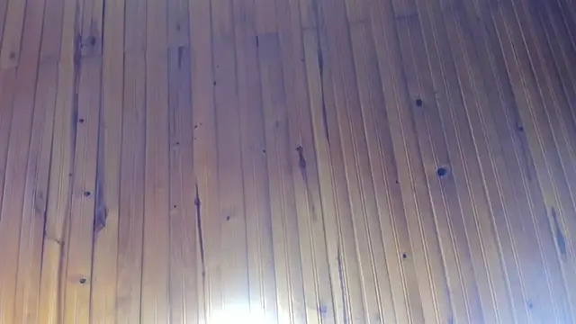 _Asshley_bensoon_ webcam