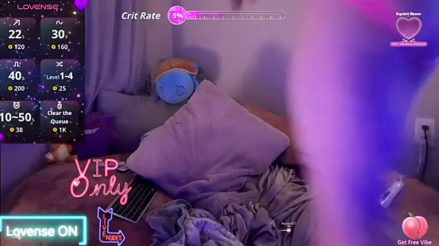 MickeyEvalong webcam