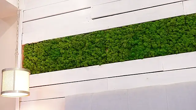 IsabellaMysty webcam