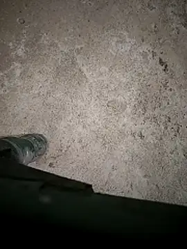 Raj-rajendri__sexy24 webcam