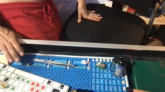 SinlessFreedom7 webcam