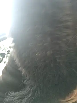 SweetyNinaOff1 webcam