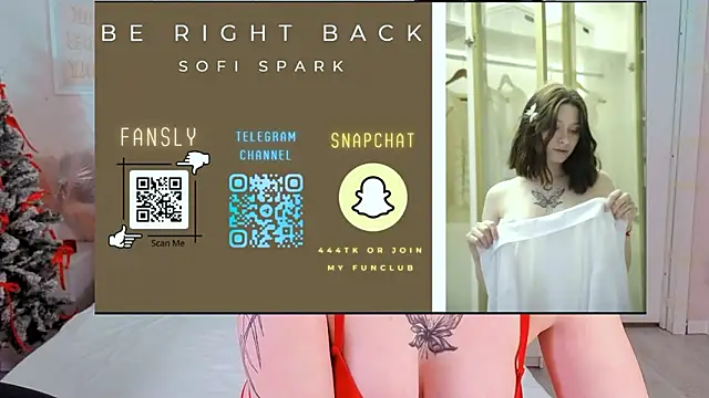 Sofi_Spark webcam