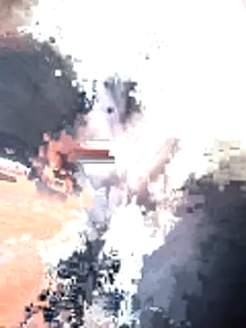 SplitPrestige19 webcam