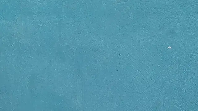 Erick_Zhimerman webcam