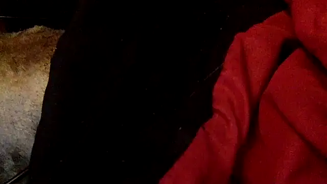 PoppingPussyPop webcam