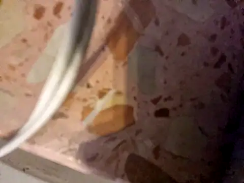 Truro-Sexy-Wife webcam