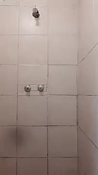 Preview of weedick22