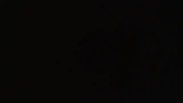 Newfiesausage1972 webcam