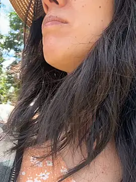 Reinacatchile webcam