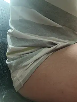 HurdlingShuttle webcam