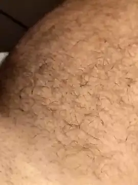 Preview of pegaso369