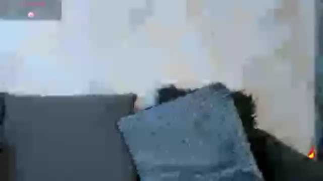 Preview of stiven_collins