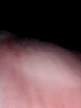 seductivescamp webcam