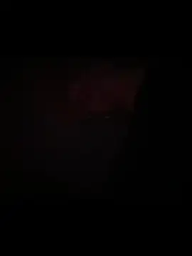 Polaroid_White webcam