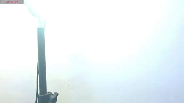 ximena_butterfly2 webcam