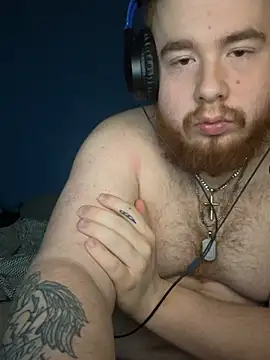 Preview of gingerchub4