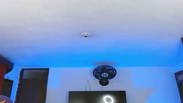 Alanni_parker webcam