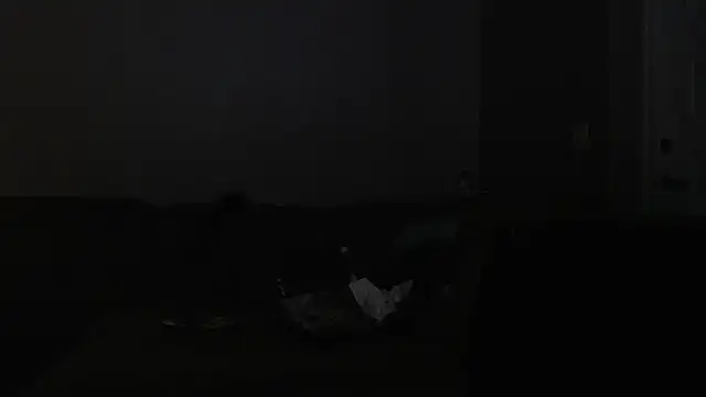 onlycreampiesdaddy webcam