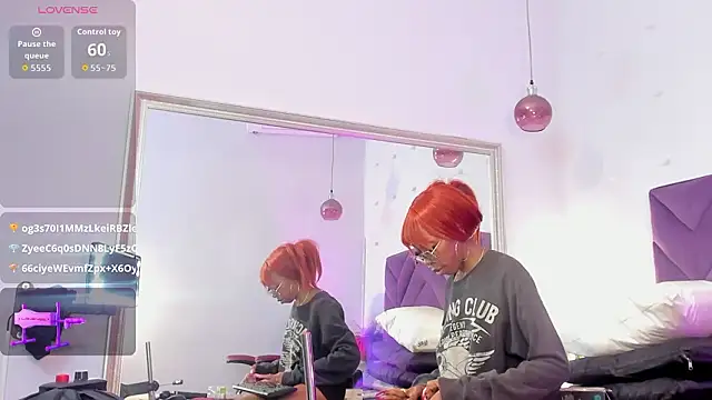 Liincostelloo webcam