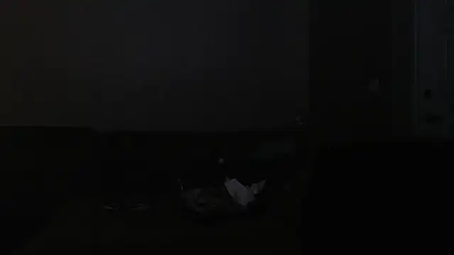 onlycreampiesdaddy webcam