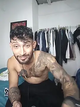 Kingbigcock23cm webcam