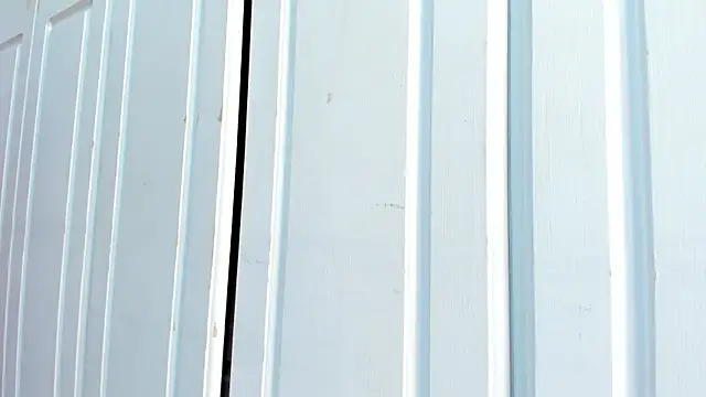 BriggitteEbonny webcam