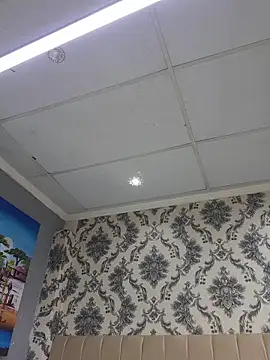 Thasha8 Live Webcam on Stripchat