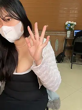 hide_from_colleagues webcam