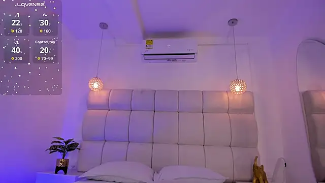 Alexa_Handler webcam