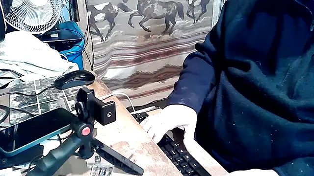 Oldmanphlwiss webcam