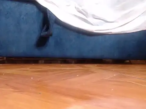 alphaswitchard webcam