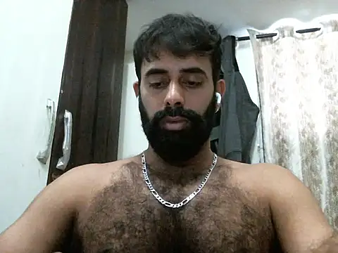 indianhairybull webcam