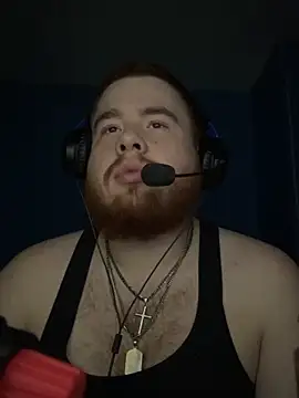 GingerChub4 webcam