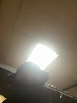 Preview of proveyourloyalty2