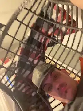 Preview of polaroid_white