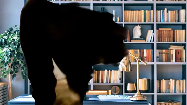 VanceFontaine webcam