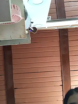 Webcam Model (Rachellcooperrr)  is live.Free join now!